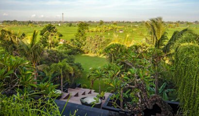 Villa Mana – 7 Bedroom Family Holiday Villa in Canggu with Rice Fields View