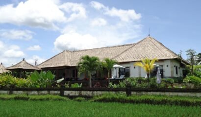 Villa Rumah Lotus – A peaceful retreat 2 Bedroom Villa Surrounded by rice fields Ubud