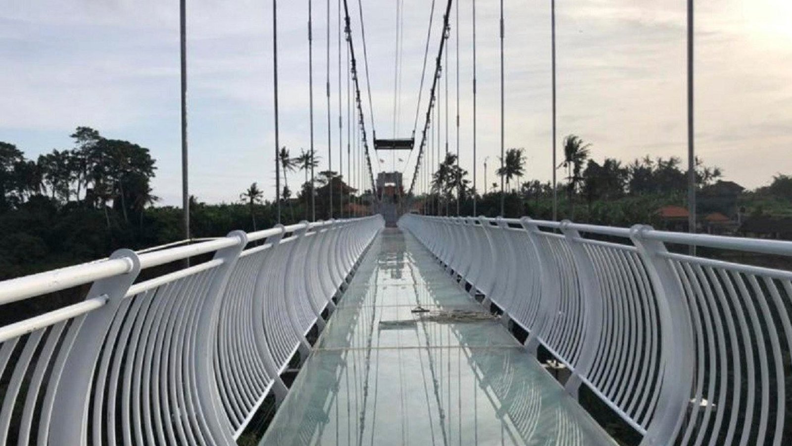 the glass bridge