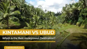 Kintamani vs Ubud: Which is the Best Honeymoon Destination?