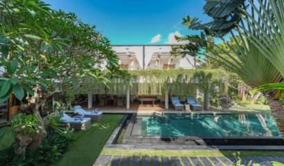 Da Vinci The Villa Canggu