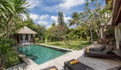 Villa Balidamai Seminyak